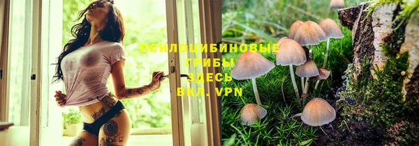 гашиш Володарск