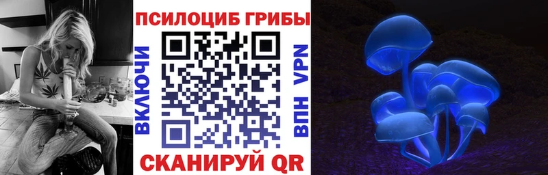 Галлюциногенные грибы Psilocybine cubensis  Черногорск 