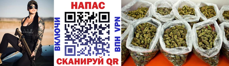 цены   Черногорск  Бошки Шишки SATIVA & INDICA 